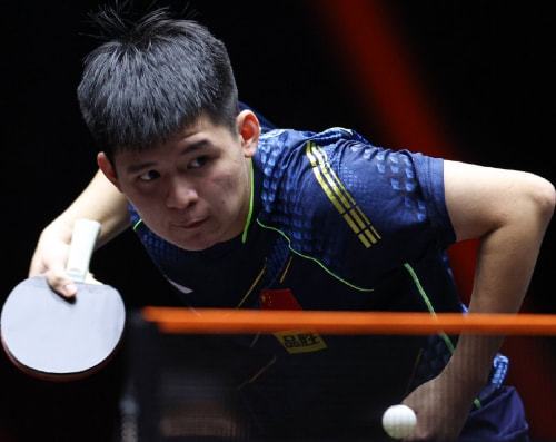 我还没看到 我还没看到