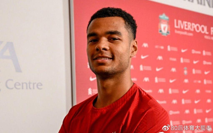 地将球输送 地将球输送